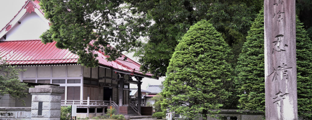 樹木の伐採をしました 忍精寺公式ホームページ